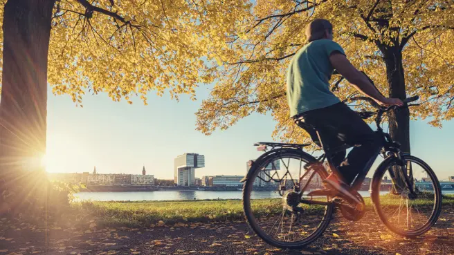 Mann auf dem Fahhrad am Rhein.