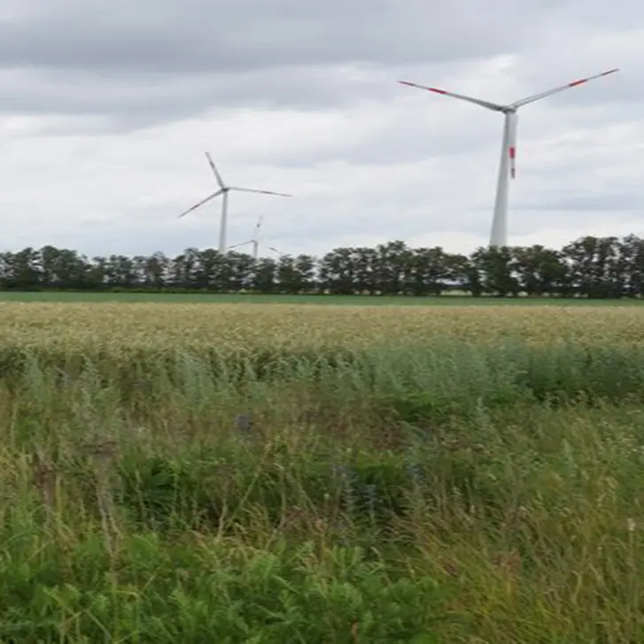 Windpark Werbig