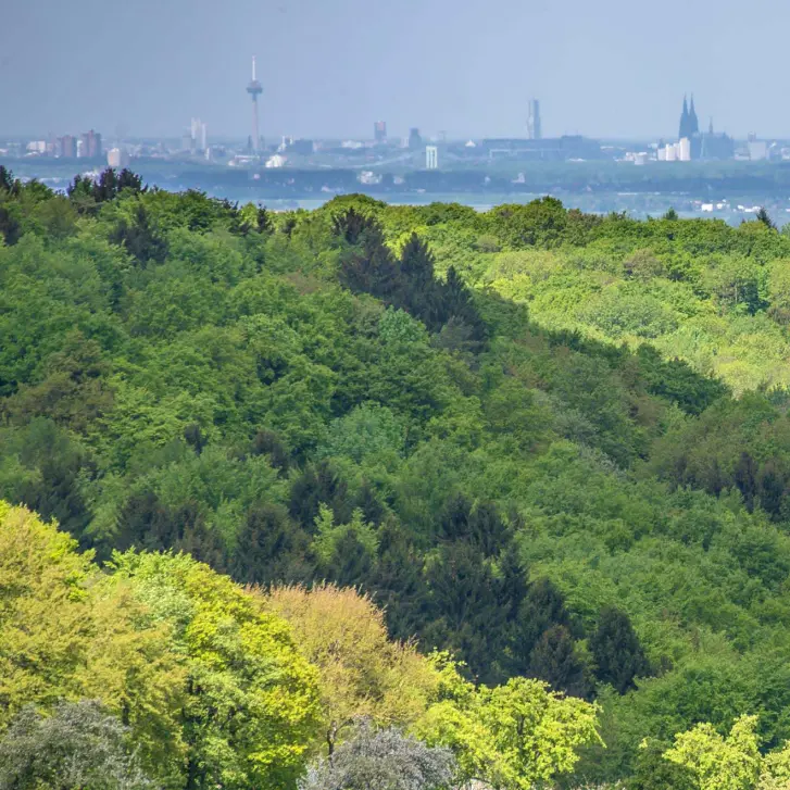 Blick von oben auf die Kölner Bucht.