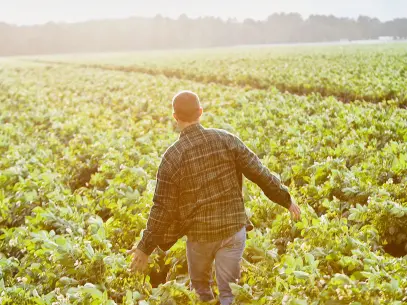 Landwirt läuft durch ein Feld-