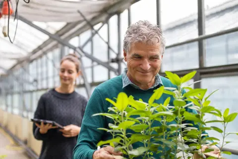 Mitarbeitende in einer Gärtnerei