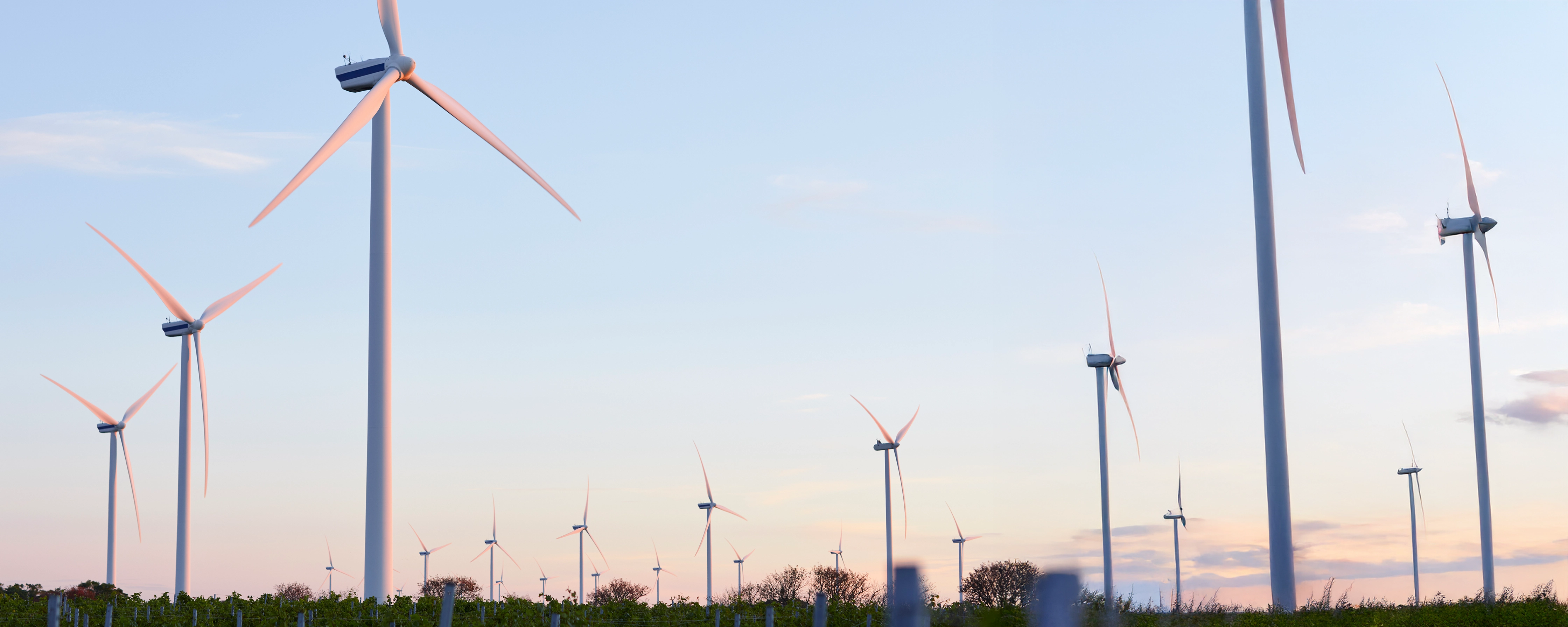 Windpark im Sonnenlicht
