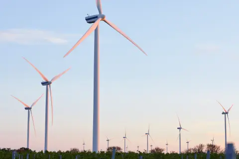 Windpark im Sonnenlicht