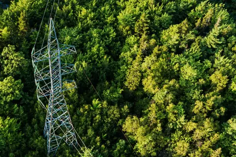 Die erneuerbare Energie wird ins Stromnetz eingespeist