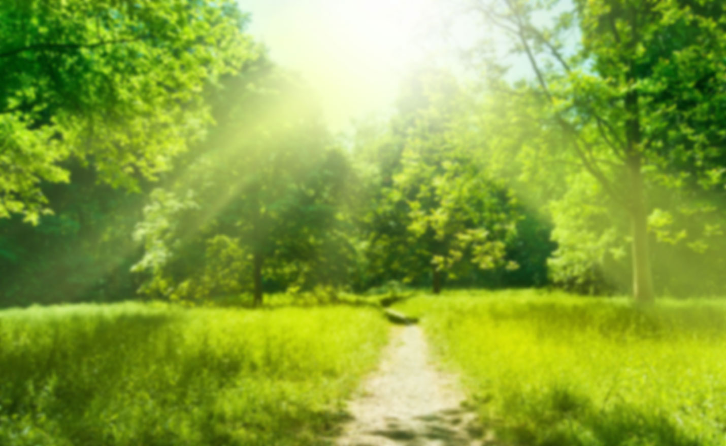 wald