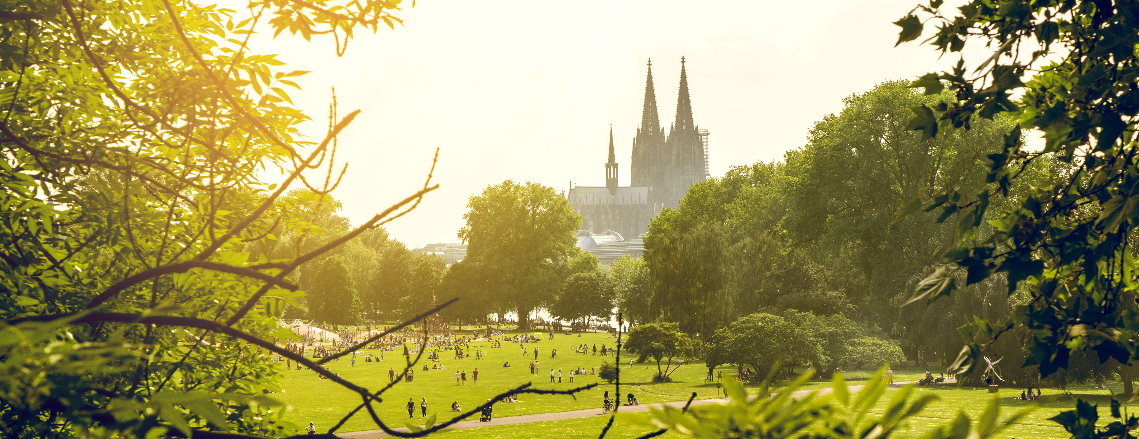 Rheinpark Köln bei Sonnenschein mit Dom im Hintergrund