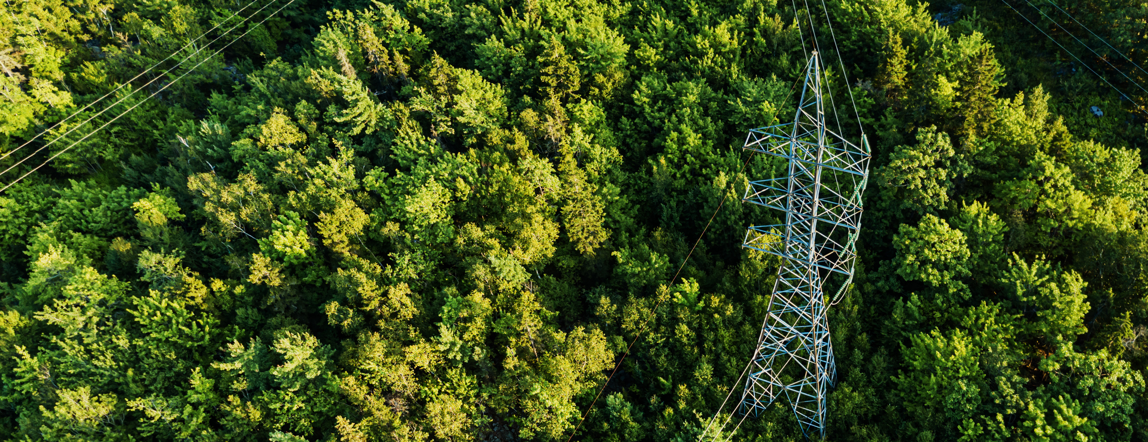 Die erneuerbare Energie wird ins Stromnetz eingespeist